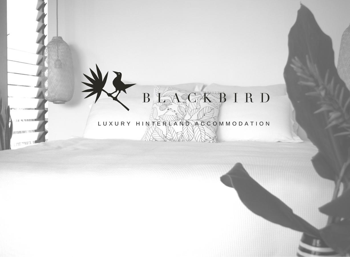 Blackbird Luxury Accommodation 멀럼빔비 외부 사진